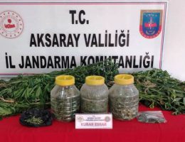 Aksaray Jandarma’dan uyuşturucu operasyonu